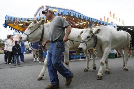 Todd Clark of Willimantic, Conn., walked his oxen past carnival games as he took part in the Topsfield Fair Parade.
