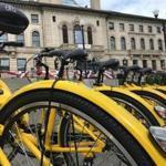 Earlier this month, Worcester became the first city on the East Coast to introduce ofo bikes.