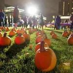 The ?Punkin? Fest? was held at Lawn on D a week before it closed for the season.  