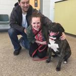 Brandy, the 4-year-old pit bull who spent almost a year living in a shelter, with her new family.