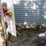 Berlin, MA ? 10/12/17 ? Liz Dichiara, 57, feeds the community's chickens while showing the photographer her co-housing community at Camelot Cohousing on Thursday, Oct. About a year ago, after selling her three-bedroom home in Sharon, Liz Dichiara, 57, retired, divorced, and the mother of two adult children, moved to the development and has only good things to say.12, 2017. Nicholas Pfosi for the Boston Globe Topic: 12zoemptynestwest 8.3.3984620784