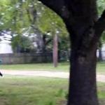 In this image from video from April, 2015, Walter Scott (left) is shot by police officer Michael Slager in Charleston, S.C. 