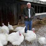 Jim Rischer of Raymond?s Turkey Farm in Methuen.