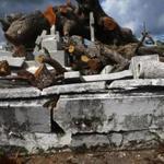 SAN JUAN, PUERTO RICO - DECEMBER 23: A tree toppled by Hurricane Maria which damaged graves sits in the Villa Palmeras cemetery on December 23, 2017 in San Juan, Puerto Rico. Barely three months after Hurricane Maria made landfall, approximately one-third of the devastated island is still without electricity. While the official death toll from the massive storm remains at 64, The New York Times recently reported the actual toll for the storm and its aftermath likely stands at more than 1,000. A recount was ordered by the governor as the holiday season approached. (Photo by Mario Tama/Getty Images)