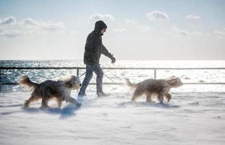 STORM SLIDER 01/05/2018 GLOUCESTER, MA A man walked his two dogs along Western Avenue in Gloucester. (Aram Boghosian for The Boston Globe)
