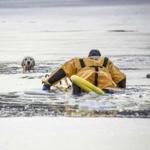 The sandy-colored dog?s head was above water, as firefighter Sean Williams slid toward it on a rescue board, photos posted on Twitter show.
