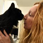Rosie, a 16-year-old cat, was feral before Rachel Geller brought her home.