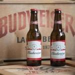 A local beer wholesaler owned by Anheuser-Busch, parent company of Budweiser, was found to be not liable under state anti-pay-to-play rules for giving away nearly $1 million in equipment to beer retailers.