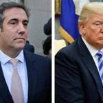 Michael Cohen (left) was reimbursed by President Donald Trump for payments ranging from $100,001 to $250,000. 