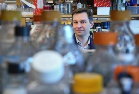 David Sinclair, professor of genetics and director of the Paul F. Glenn Center for the Biology of Aging, has been working on triggering an anti-aging enzyme called SIRT1. 
