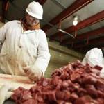 The tough working conditions for meatpackers have long forced the industry to turn to immigrants for workers. But tougher immigration policies have left many jobs unfilled.