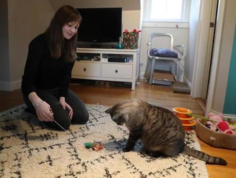 Salem MA 1/7/19 Pamela Howard and her cat, Muse in her Salem apartment. Pamela adopted Muse in June, but the adoption agency is trying to reclaim him after they saw them on social media because Pamela took Muse into the backyard (on a leash) when that's prohibited under the adoption contract. (photo by Matthew J. Lee/Globe staff) topic: reporter: 

