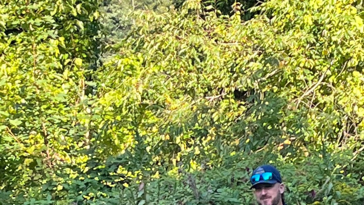 East Bridgewater Police Officer Matthew Monteiro helps corral a cow that was loose in the area of Belmont and Summer streets on Wednesday, Sept. 4, 2024.