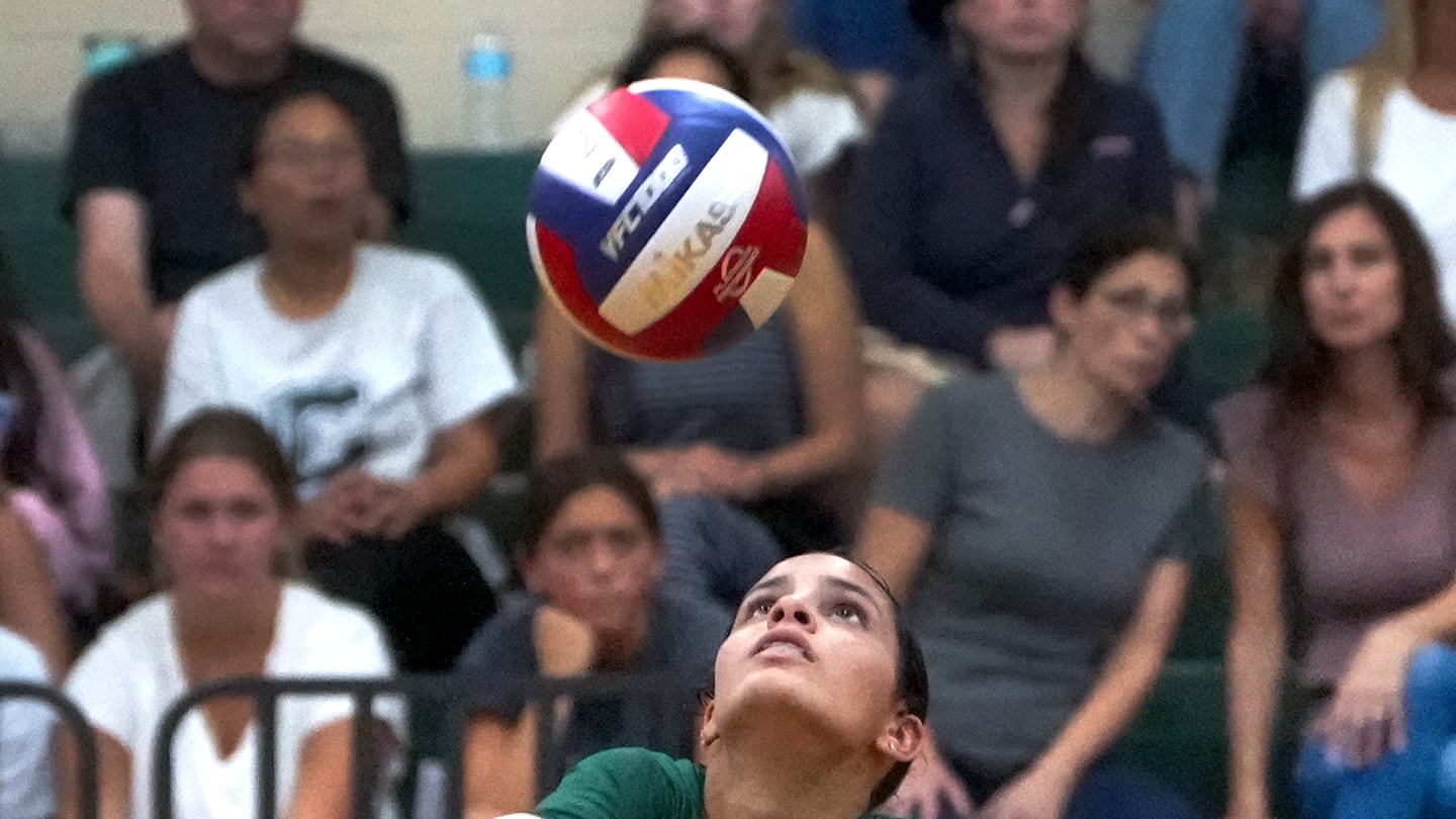 A pivotal piece in Canton's 24-1 run to the Division 2 final last fall as a freshman, Soley Rodriguez Martinez (6) is a stellar defender, passer, and hitter for the Bulldogs.