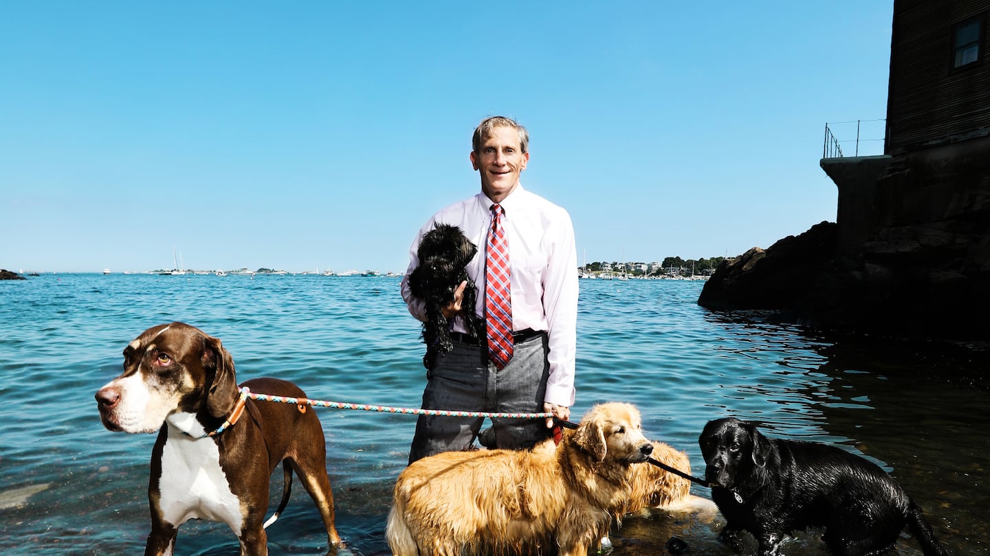 Salem lawyer Jeremy Cohen with his dog, Maisey, and some other canine friends.