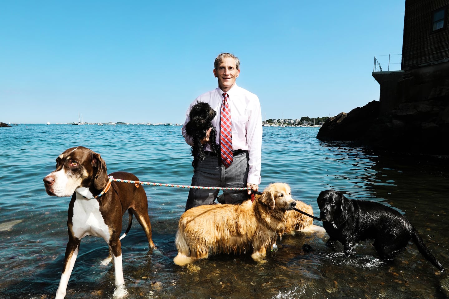 Salem lawyer Jeremy Cohen with his dog, Maisey, and some other canine friends.