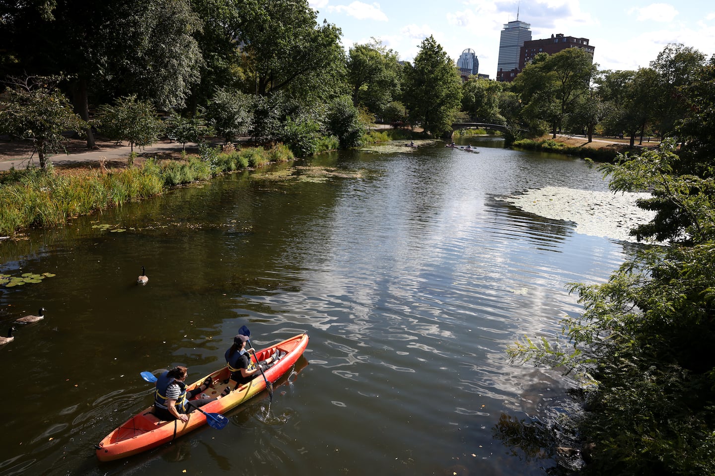 Kayakers paddle along the Charles River on a beautiful September day Monday.