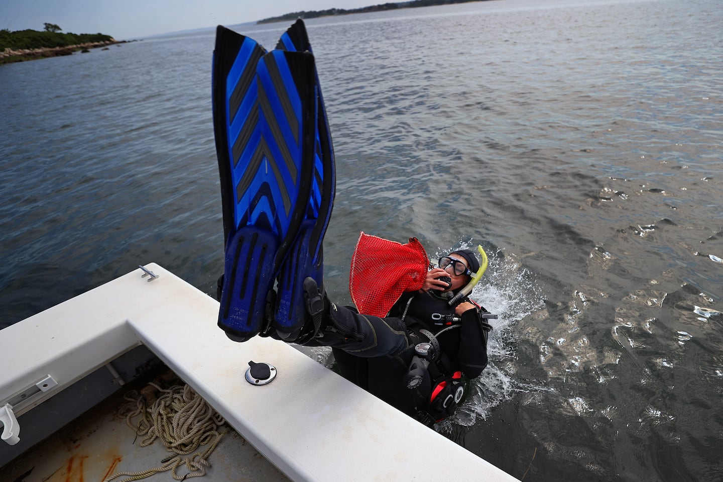 Jean Brochi, a diver with the Environmental Protection Agency, went for a dive from the boat anchored at Hadley Harbor by Naushon Island to collect seagrass samples. Scientists from the EPA and the Woods Hole Oceanographic Institution researched how underwater meadows capture carbon in July.