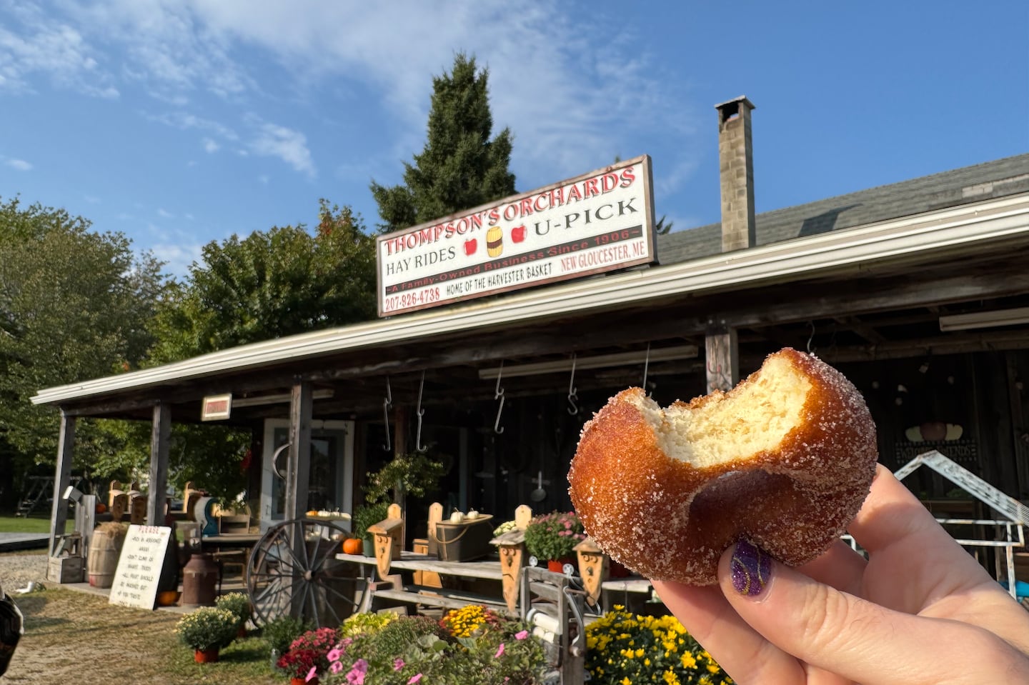 Alex Schwartz eats cider doughnuts at Thompson's Orchards in New Gloucester, Maine.