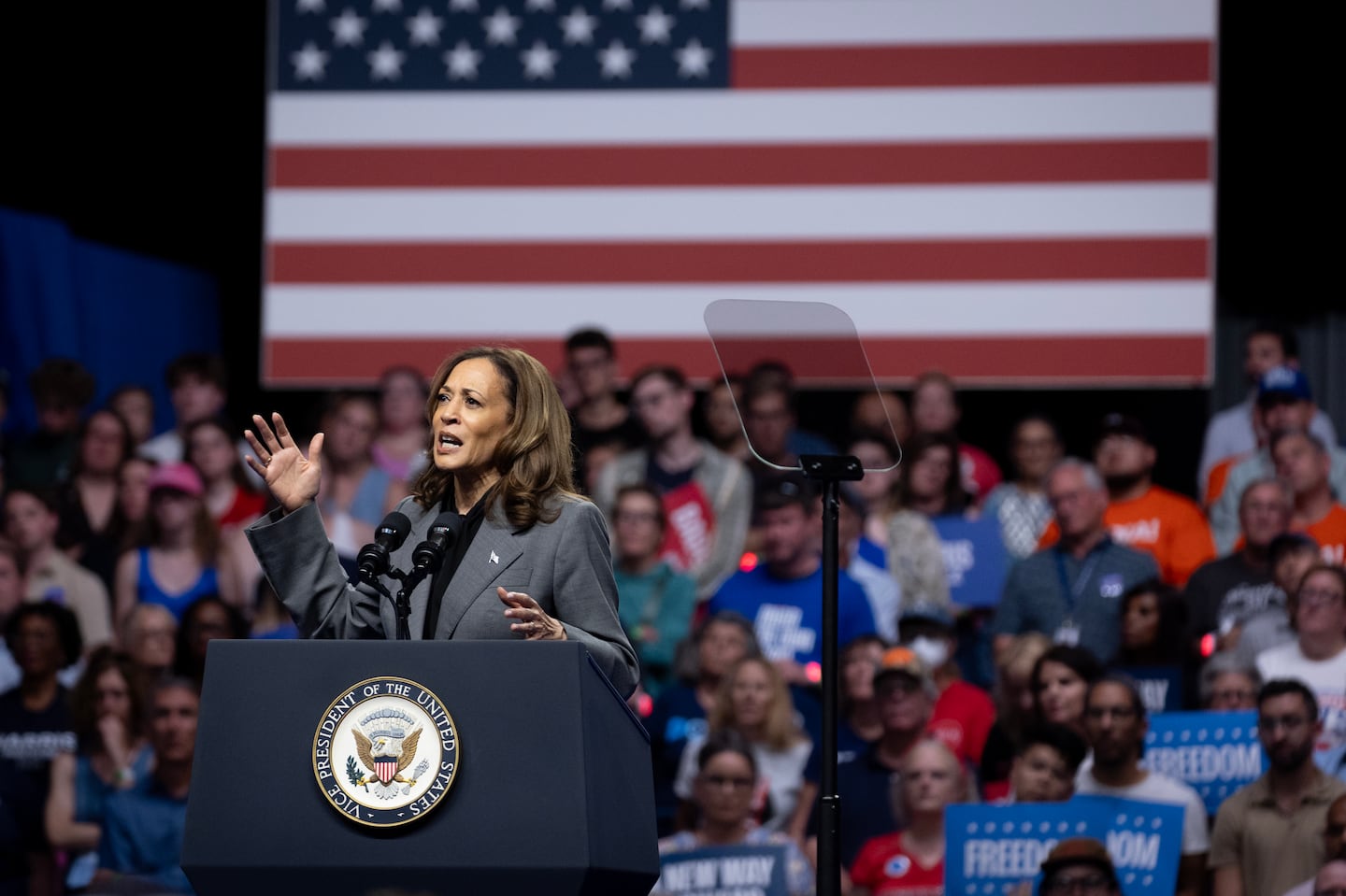 Democratic presidential nominee Vice President Kamala Harris speaks during a campaign rally at the Alliant Energy Center on September 20, 2024 in the battleground state of Wisconsin.