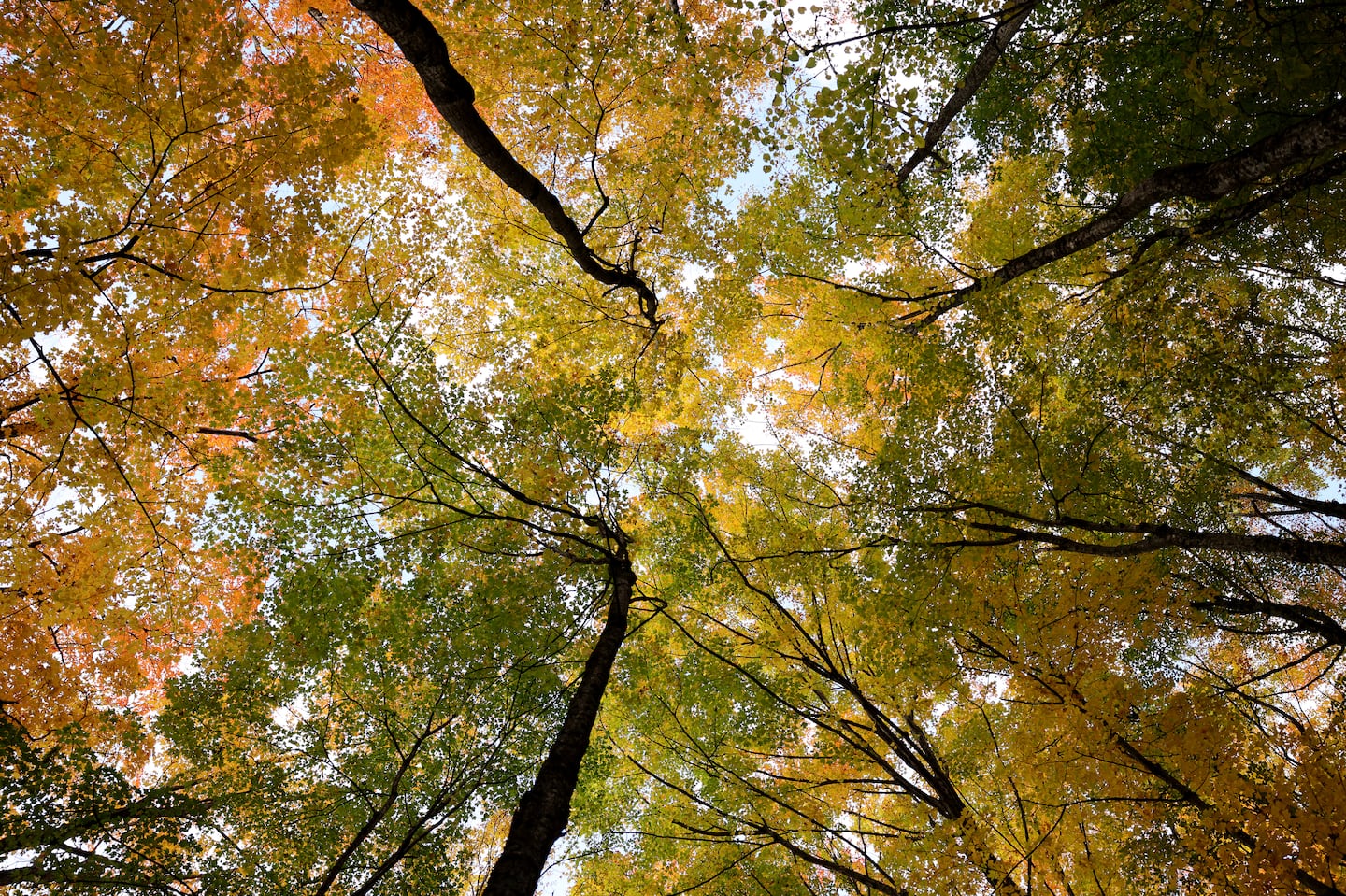 The first day of astronomical fall is Sunday and that means cooler and shorter days.