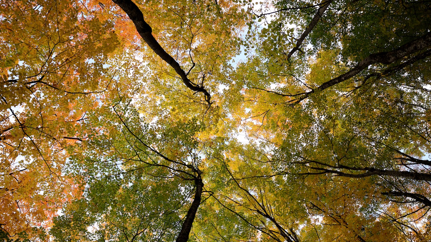 The first day of astronomical fall is Sunday and that means cooler and shorter days.