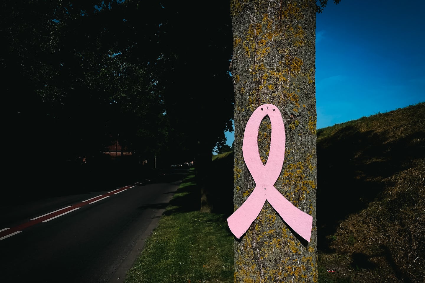 A pink wooden ribbon hung from a tree along the roadside, symbol of the National Breast Cancer Awareness Month.