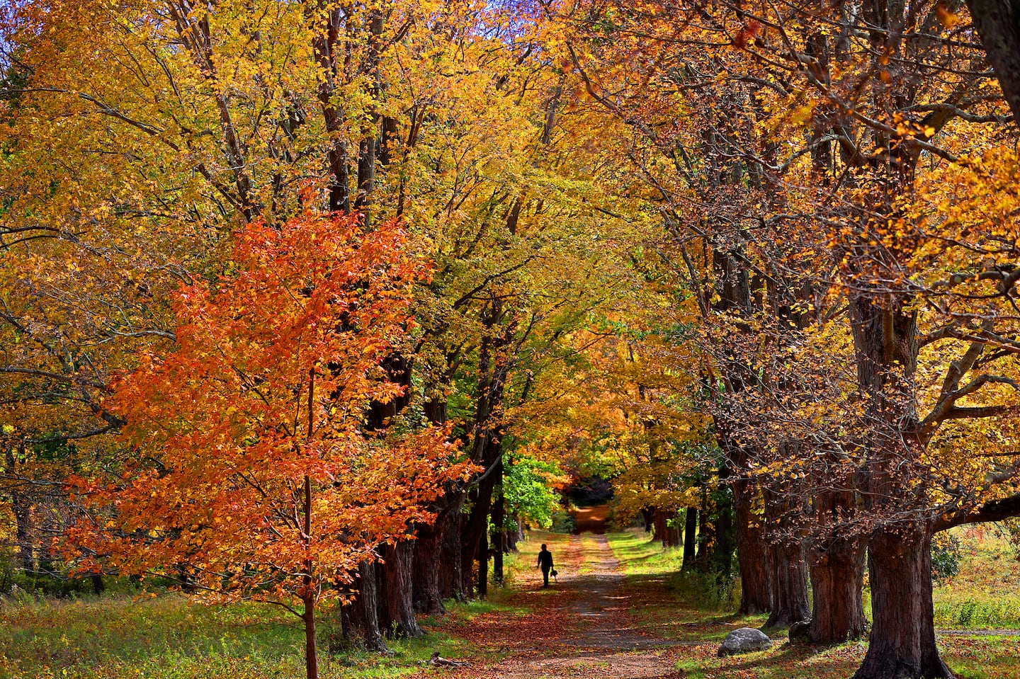 Peak foliage season is occurring across much of central and northern areas of Vermont and New Hampshire. It’ll be a great weekend to go explore.