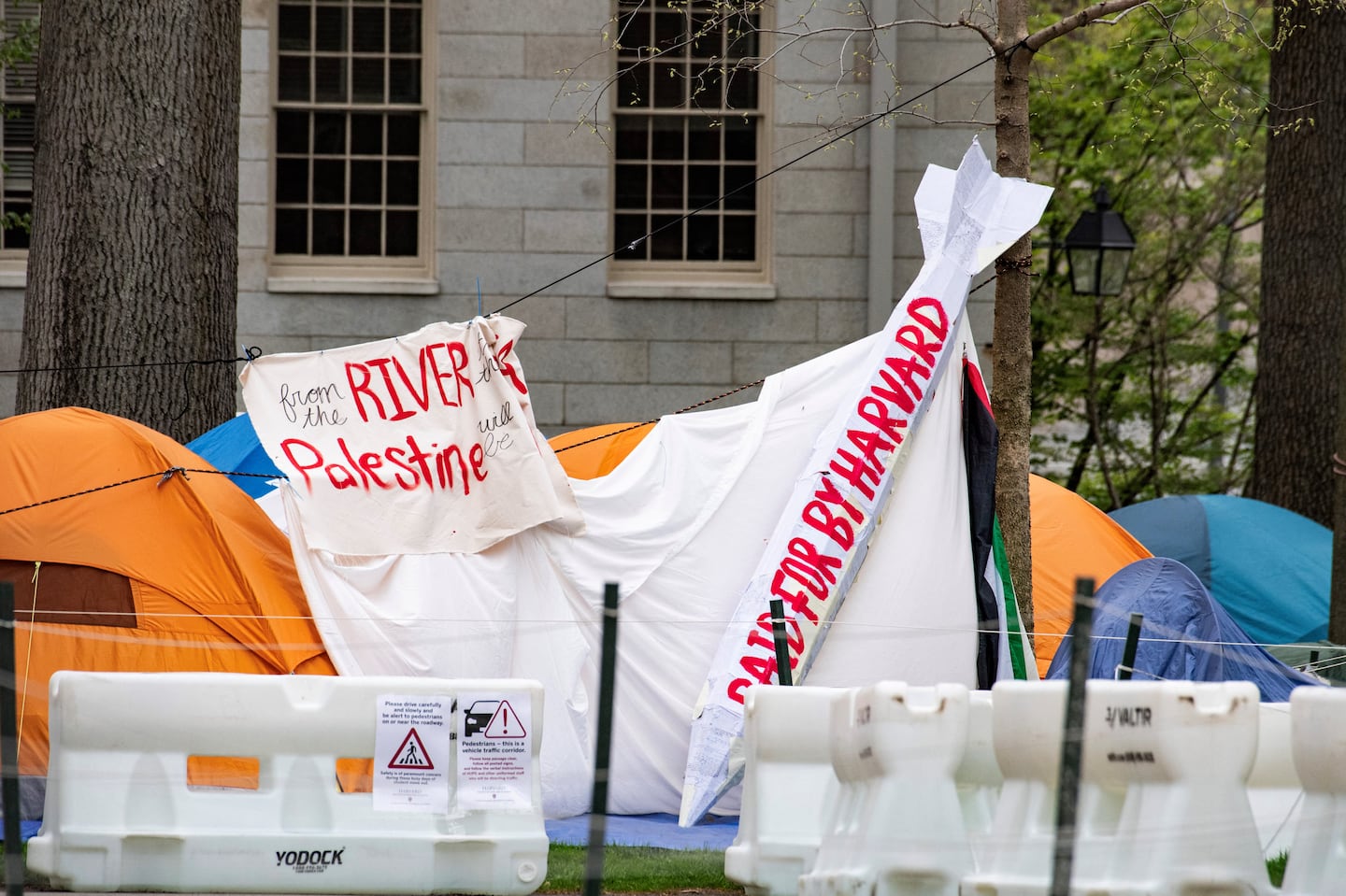 Tents and signs filled Harvard Yard by the John Harvard statue in the pro-Palestinian encampment at Harvard on May 5.