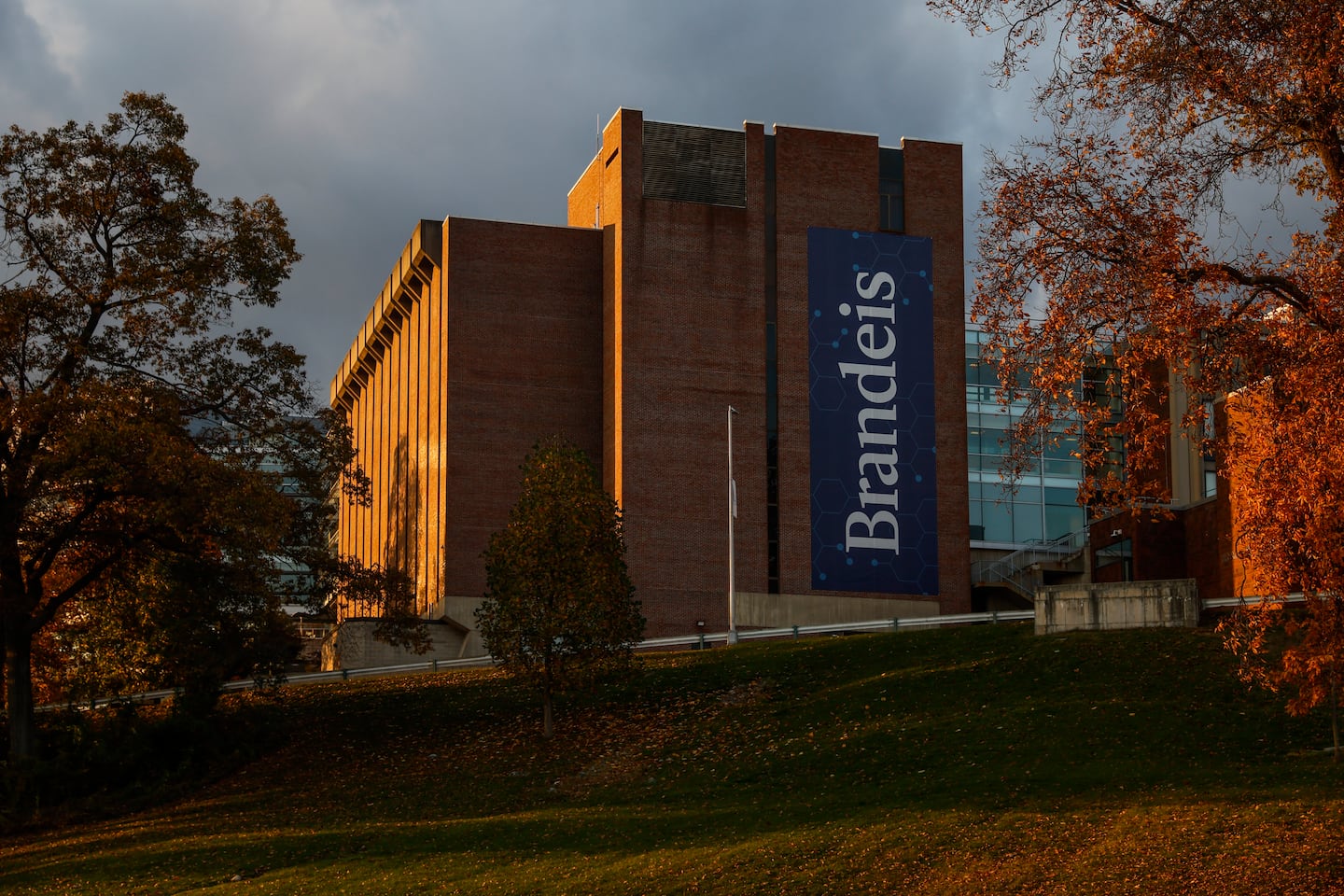 Brandeis University’s national ranking, which helps it attract international students who pay full tuition, has dropped precipitously.