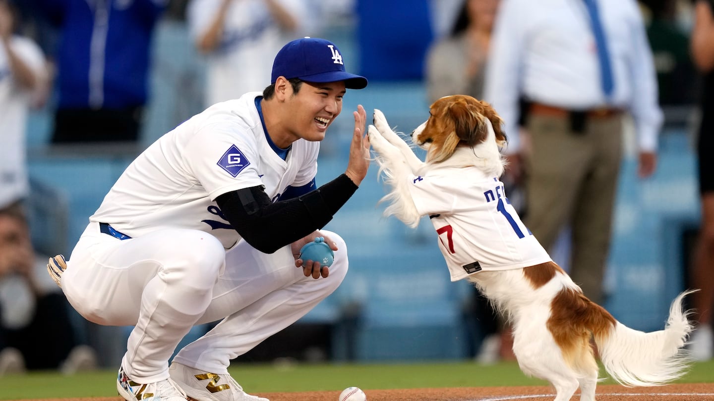 Shohei Ohtani with his dog, Decoy, at Dodger Stadium in August. No, that's not in the ad, but it's pretty adorable.