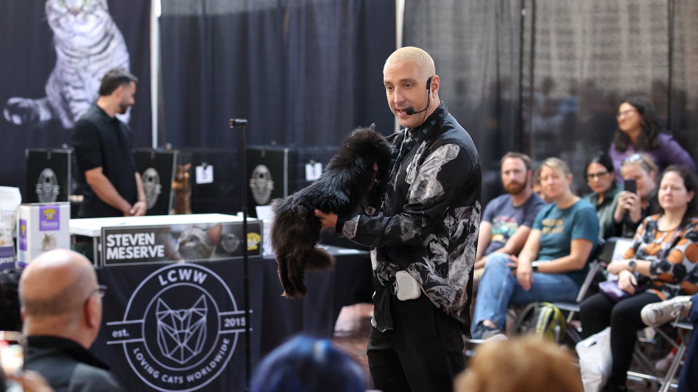 Steven Meserve held a cat at the Boston CATstravaganza, hosted by Loving Cats Worldwide.