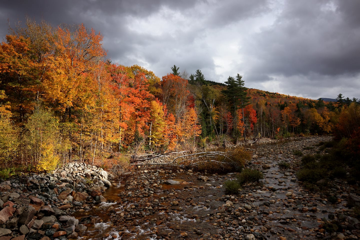 Fall foliage lines the banks of the Peabody River in Gotham, N.H. Rain will clear this morning for the Boston area, but showers are forecast most of the day in Northern New England.