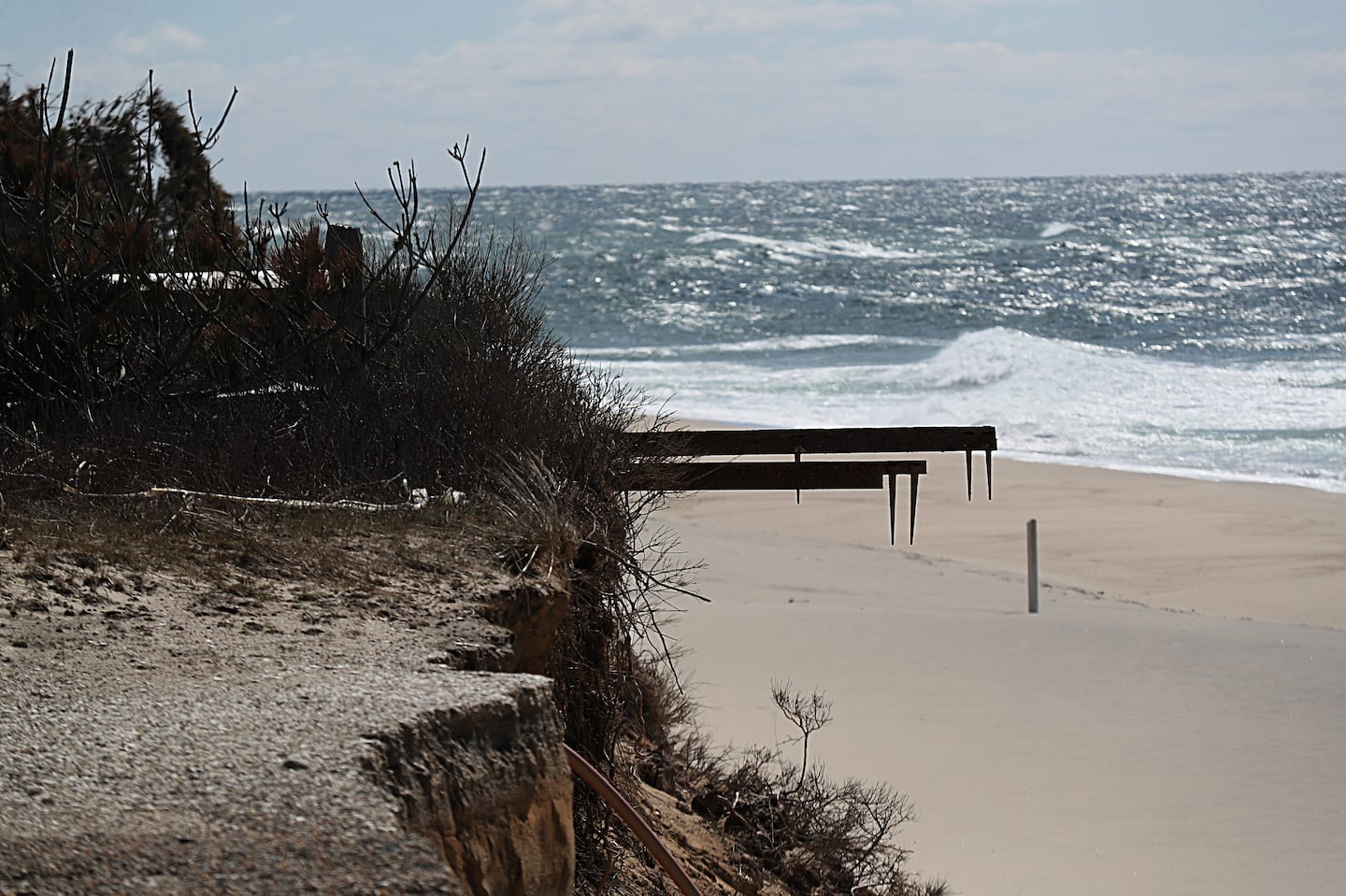 In Nantucket, Joe Tormay and Nick Whitbeck said they were fishing for striped bass and looking into the distance when what they thought was a dead whale caught their eye.