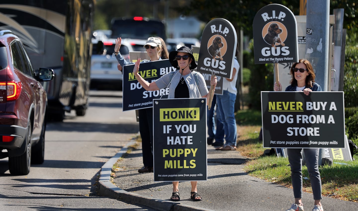 Joanne Therrien (center) of Dover, N.H., and Joan O'Brien (right) of Amherst, N.H., were among a group of people protesting in early October on the street at the entrance of a strip mall that houses the Puppy Palace.