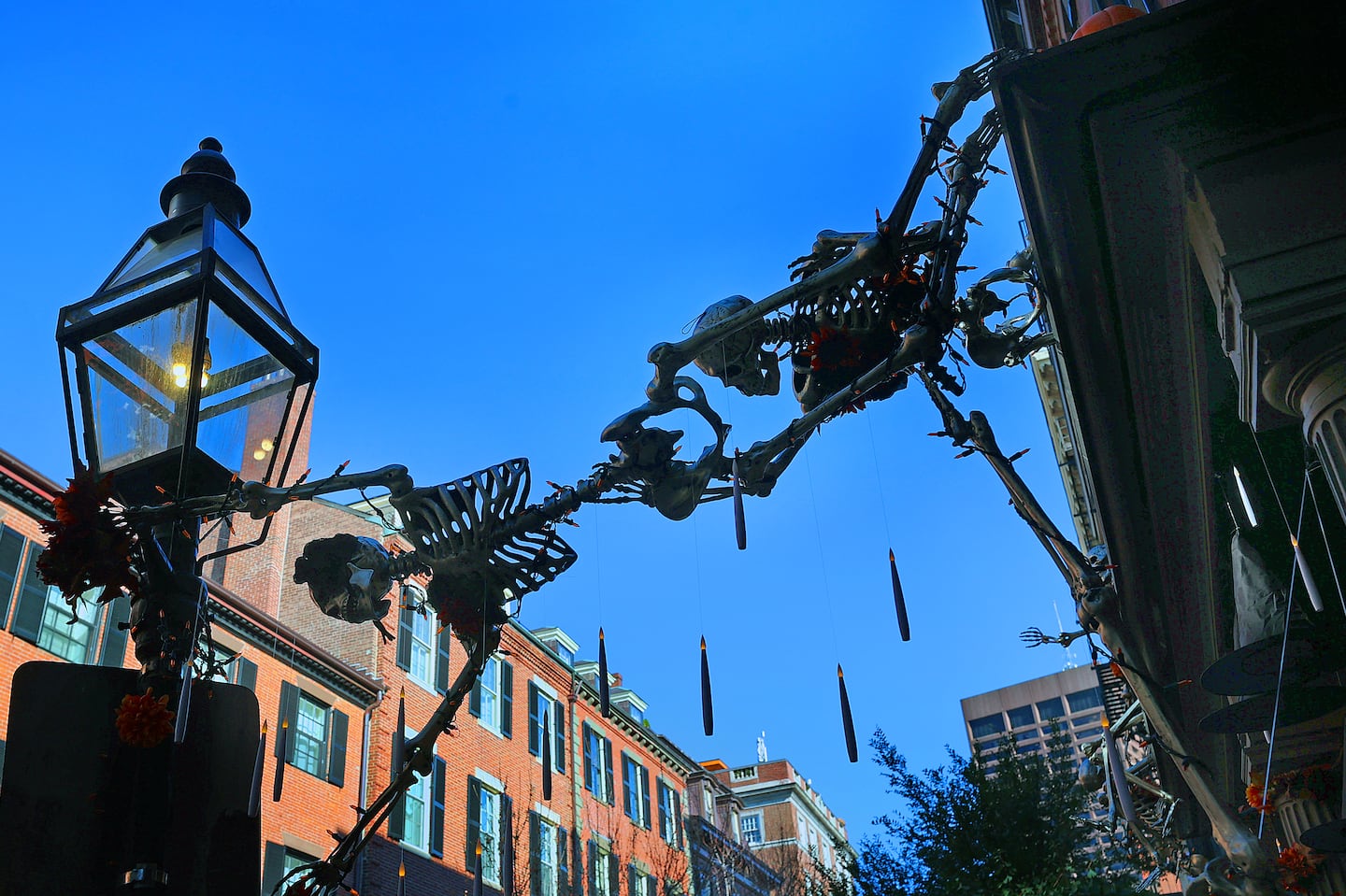 A couple of skeletons hang above a doorway in Beacon Hill on Monday.