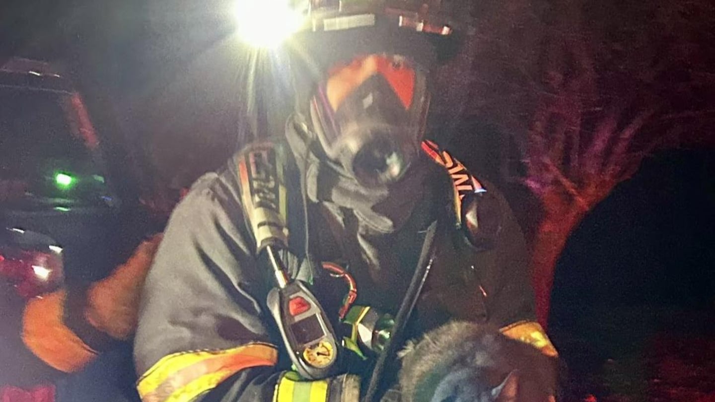 Fire crews entered a single-family home at 3 Fisher St. in Westborough and rescued one dog and four cats, officials said.