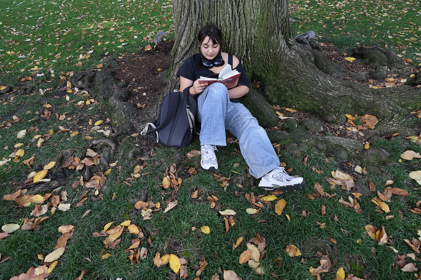 Monet Gagnon reads a book in the Public Garden in Boston on a bed of fallen leaves on Friday.