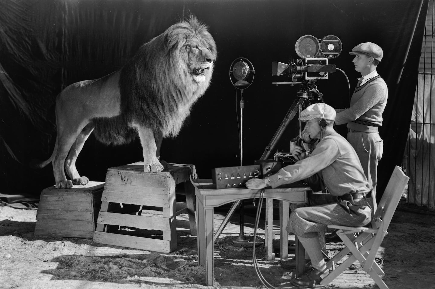 A cameraman and a sound technician record the roar of Leo the Lion for MGM's famous movie logo. The footage was first used on MGM's first talking picture "White Shadows in the South Seas."