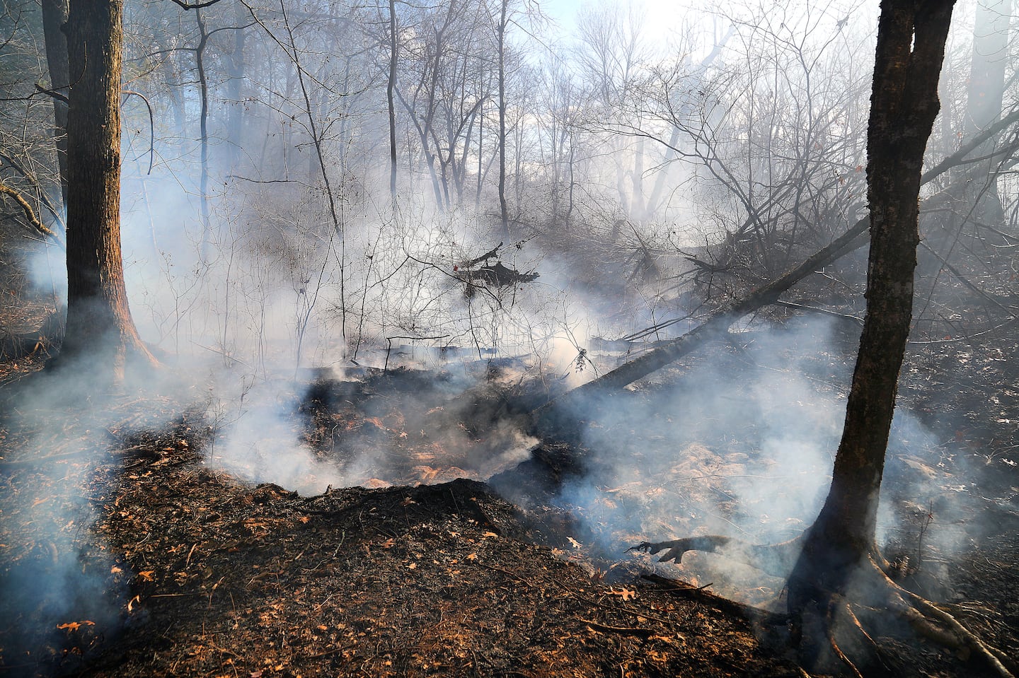 Smoke billowed in the forest area off Forest Street in Middleton where a large wildfire has been burning.