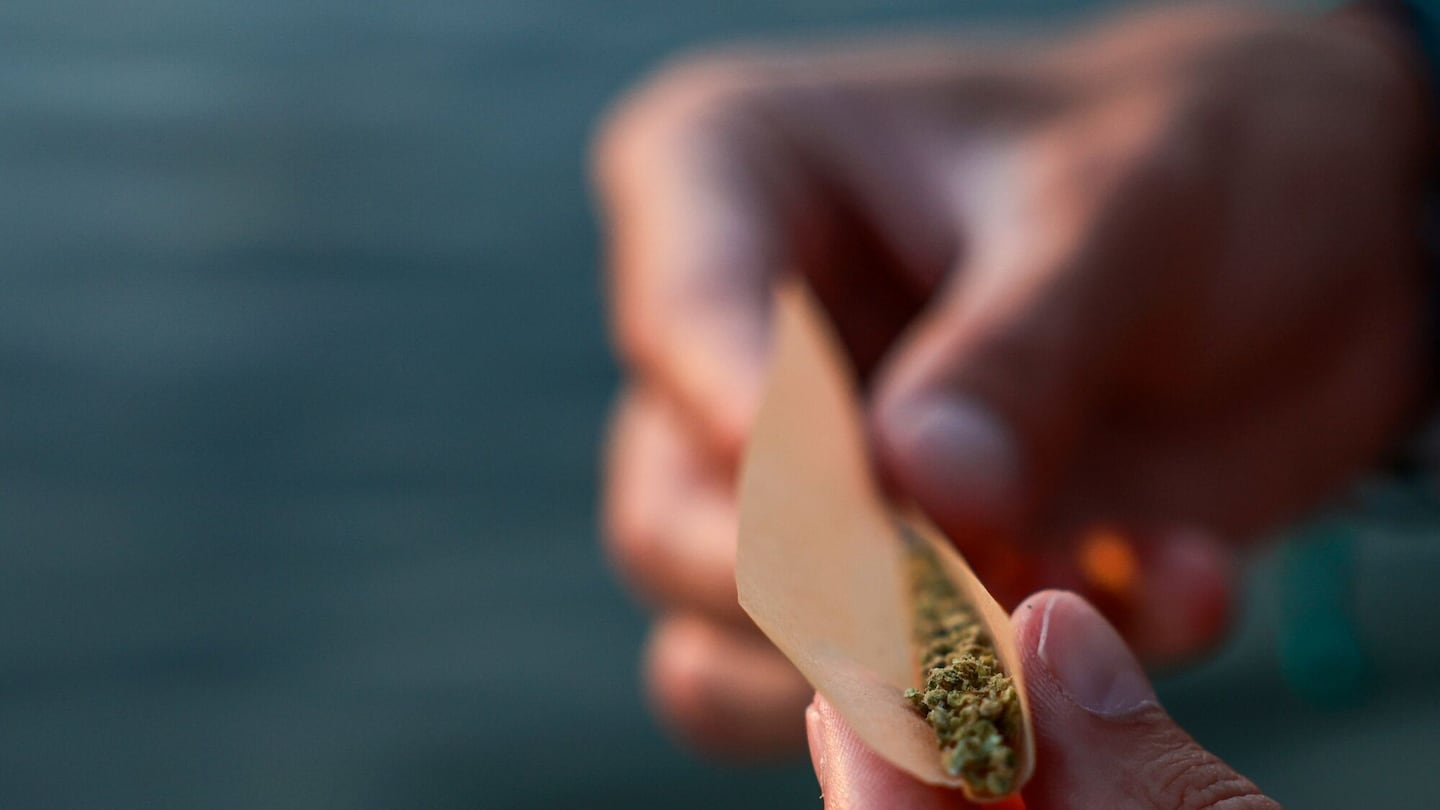 Low-THC cannabis arranged on a rolling paper in Bari, Italy, on Saturday, Aug. 31, 2024.