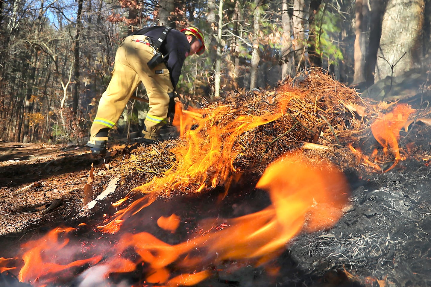 Sharon firefighter Kurt Simpson put out hot spots on a trail as firefighters were still on the scene a fire in the Blue Hills.