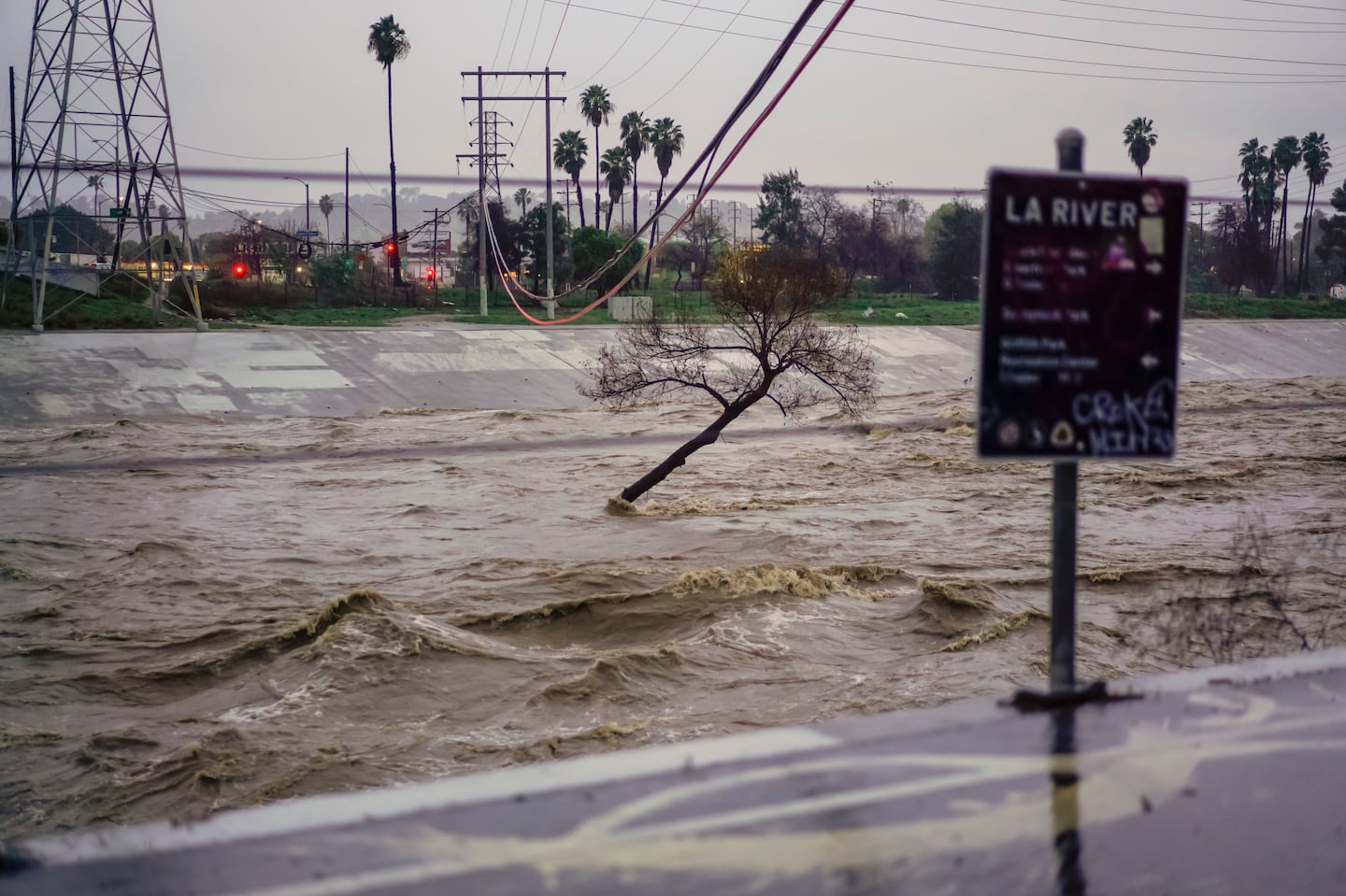 Submerged trees stand in the flooded Los Angeles River during an atmospheric river storm in Los Angeles in February.