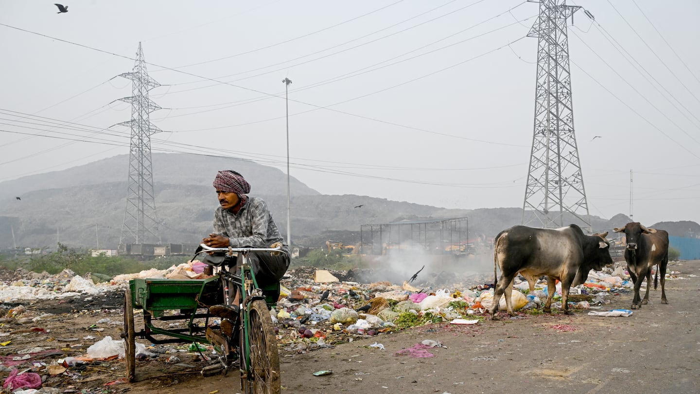 Smoke billowed from burning garbage as a man rested on his trash cart beside cows foraging  amid smoggy conditions in New Delhi, India's capital, on Tuesday.