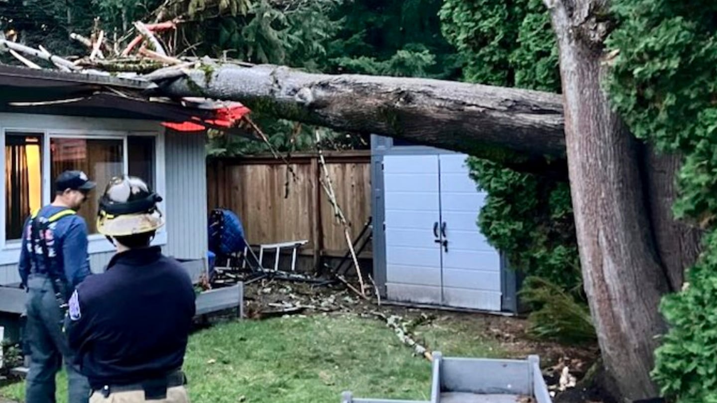 Officials survey the scene where a tree fell on a home in Issaquah, Wash., on Nov. 19.