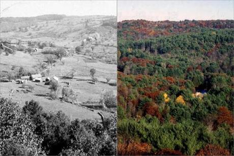 Across New England, areas like the Swift River Valley (above, left, in the 1880s and in 2010) in Petersham have seen their forests, once cut down and cleared for farmland, replenished in the 21st century.
