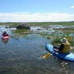A launch from Plum Island Bridge in Newburyport leads kayakers into a saltwater marsh. 