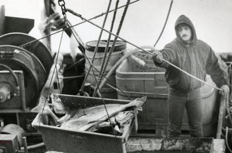 A fisherman aboard the 