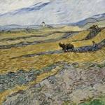 5. Enclosed Field with Ploughman Vincent van Gogh (Dutch (worked in France), 1853â1890) October 1889 Oil on canvas * Bequest of William A. Coolidge * Photograph Â© Museum of Fine Arts, Boston