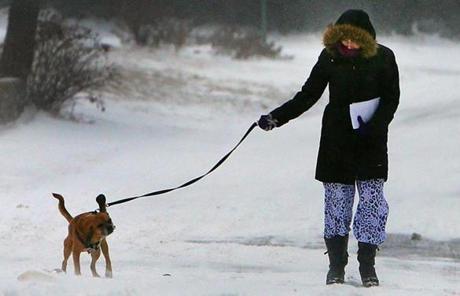 A woman walking a dog braved the wind and snow along Oceanside Drive in Scituate.
